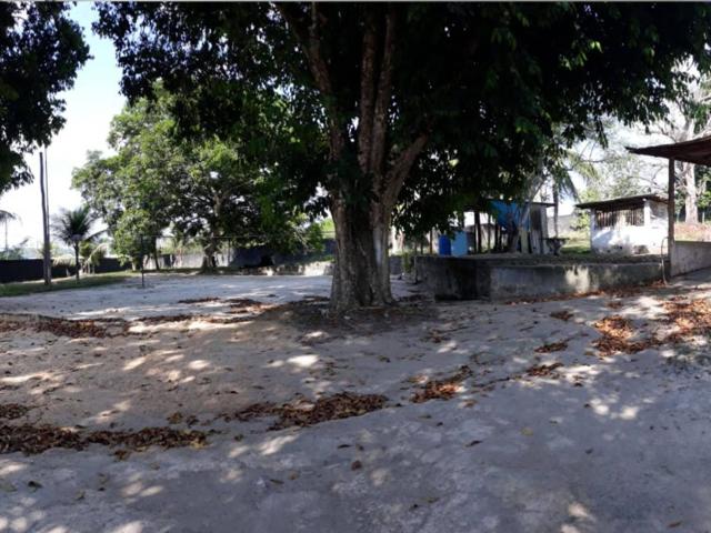#593CRI - Terreno para Venda em Manaus - AM
