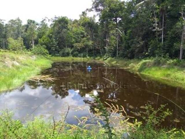 #831 - Sítio para Venda em Manaus - AM - 1