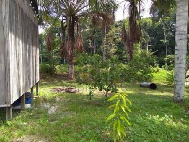 #831 - Sítio para Venda em Manaus - AM - 2