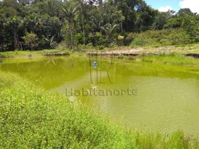 #831 - Sítio para Venda em Manaus - AM - 3