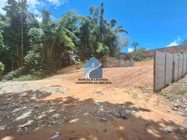 #897 - Área para Venda em Manaus - AM - 1