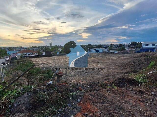 #902 - Área para Venda em Manaus - AM - 3